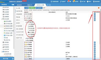 買斷式的系統有內外網管控權限更符合用戶長遠利益